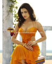 +919990222242 Bollywood Film Actresses, High Profile South Celebrities, TV Actress and Indian Models Escorts in Atlanta Greenville Los Angeles California Chicago Illinois Tampa Texas Phoenix Arizona S