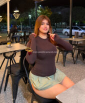 Call girls in Sector 20 Noida 8750020700 Escorts service