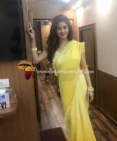 High Class Celebrities Escorts in Chandigarh, Hot Indian Models Escorts in Chandigarh, South Indian Actress Escorts in Chandigarh +919810245896